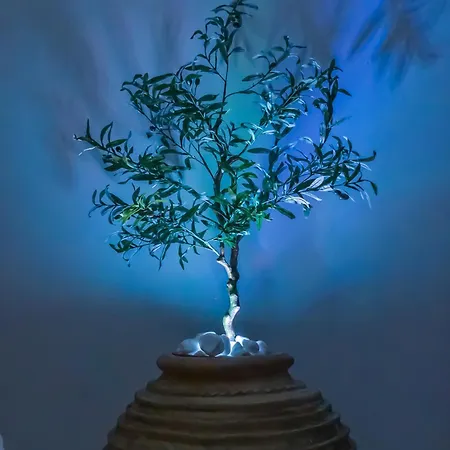 度假居 Casa Terra Mani Álika