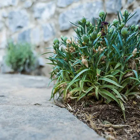 Casa Terra Mani Σπίτι διακοπών *
