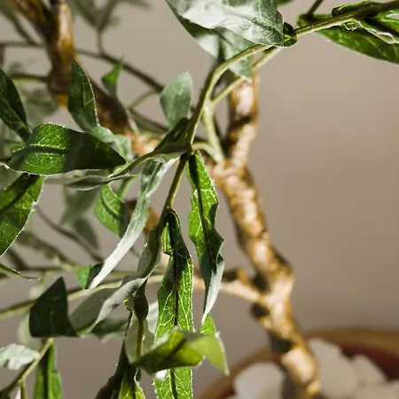 Casa Terra Mani Σπίτι διακοπών Άλικα