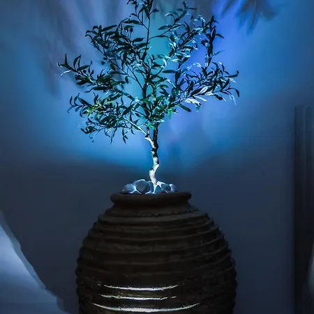 Casa Terra Mani Hébergement de vacances *