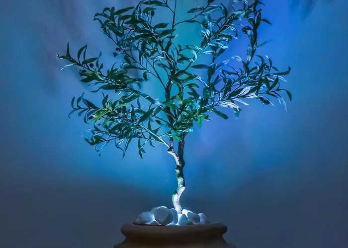 Holiday home Casa Terra Mani Alika