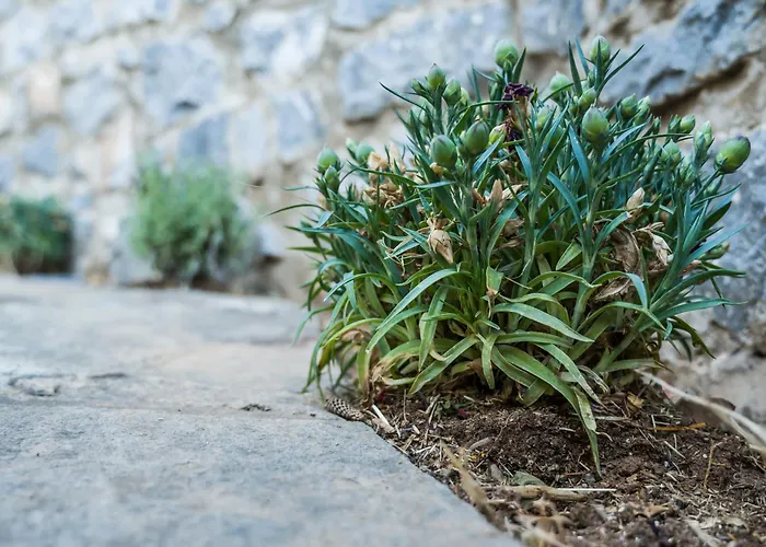 Casa Terra Mani Holiday home *